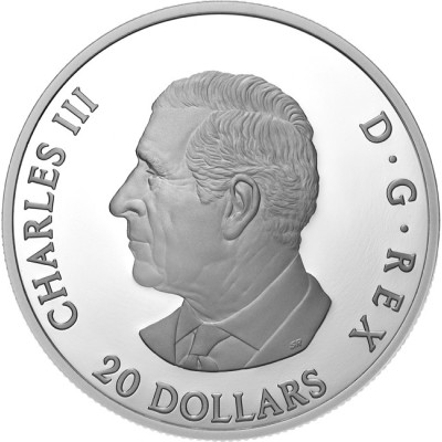 Moon Sky: Raven - 1 Oz - Silver Collector Coin (delivery 28.6.2025)