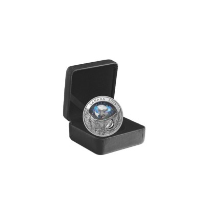 Moon Sky: Raven - 1 Oz - Silver Collector Coin (delivery 28.6.2025)