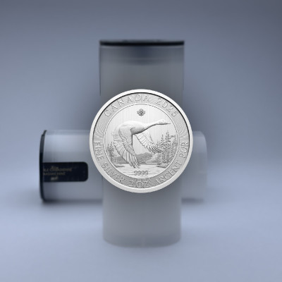 Tuba Goose 2 oz, diametrs 38 mm - tukša
