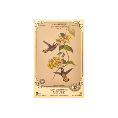 Džona un Elizabetes Gūdu kolekcija - Kolibri