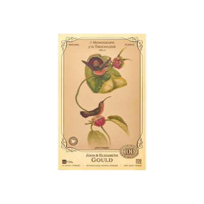 Džona un Elizabetes Gūdu kolekcija - Kolibri