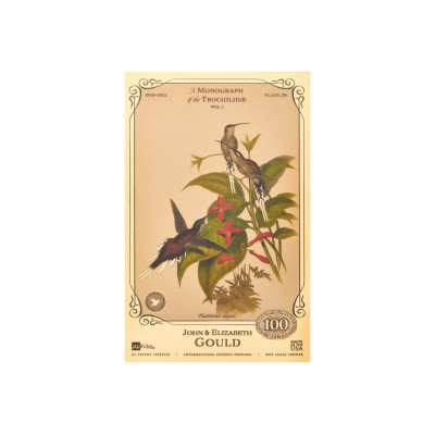 Džona un Elizabetes Gūdu kolekcija - Kolibri