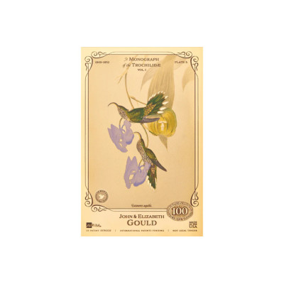 Džona un Elizabetes Gūdu kolekcija - Kolibri