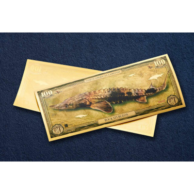 Klinšu stores - 24k zelta banknote - I sērija