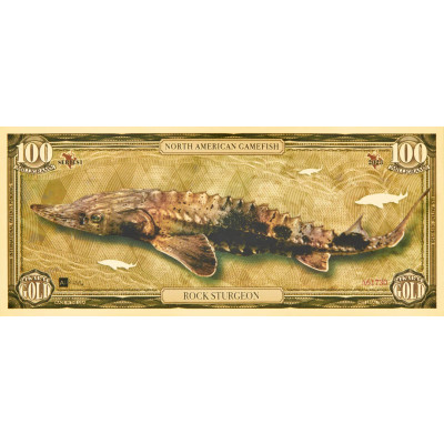 Klinšu stores - 24k zelta banknote - I sērija